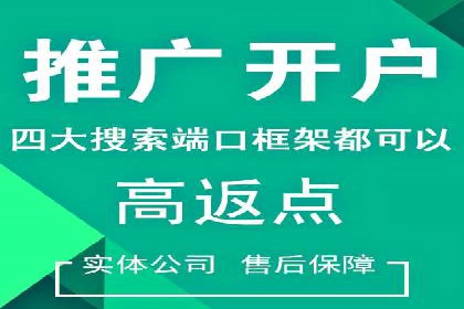 百度SEO推广公司经典之作：打造行业领先品牌